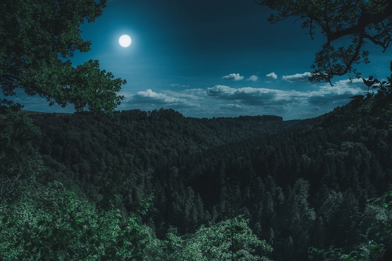 Moonlit Night Sky